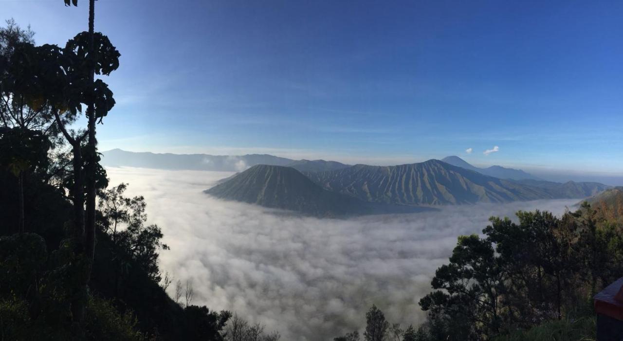 Bromo Tanjung Appartement Tosari Buitenkant foto