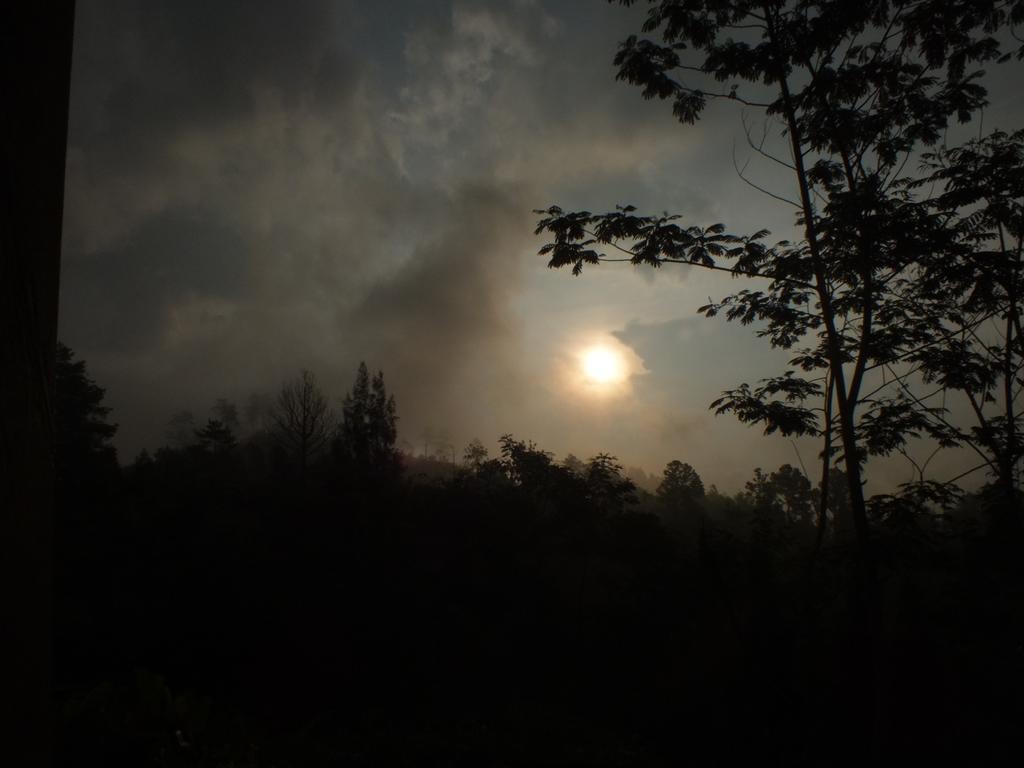 Bromo Tanjung Appartement Tosari Buitenkant foto