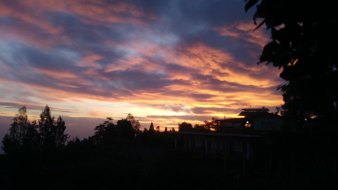 Bromo Tanjung Appartement Tosari Buitenkant foto