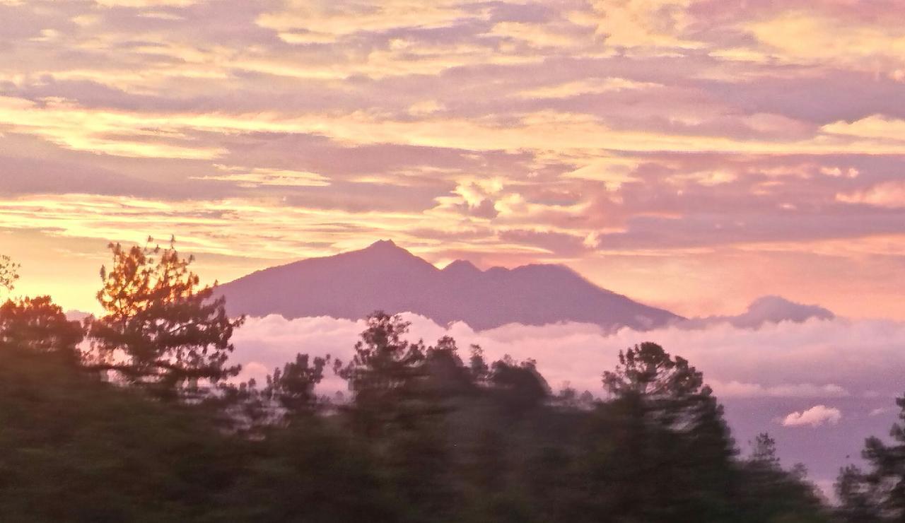 Bromo Tanjung Appartement Tosari Buitenkant foto