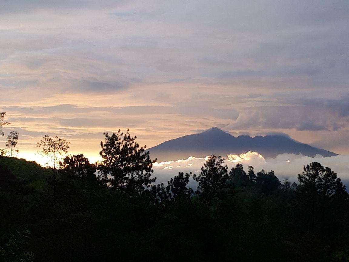 Bromo Tanjung Appartement Tosari Buitenkant foto